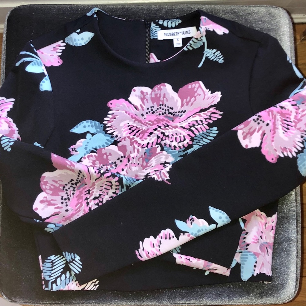 Elizabeth and James polly crop top